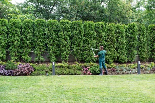 Best Hedge Trimming  in Hauser, ID